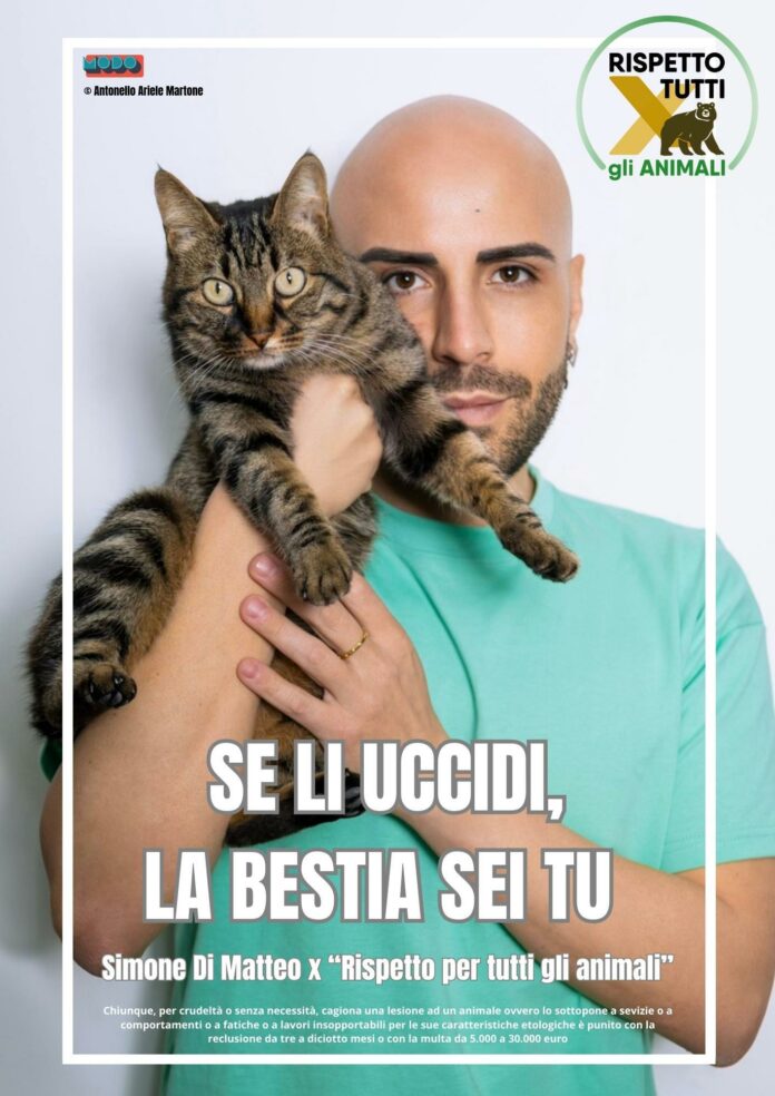 simone di matteo